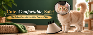 Cute, Comfortable, Safe? The Collar Checklist Most Cat Owners Skip