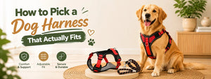 How to Pick a Dog Harness That Actually Fits