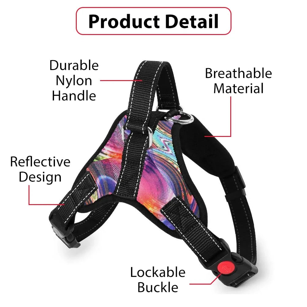 Pawington Butterfly Dog Harness & Leash Set with Free Plastic Bowl for Small Dogs - Multicolor
