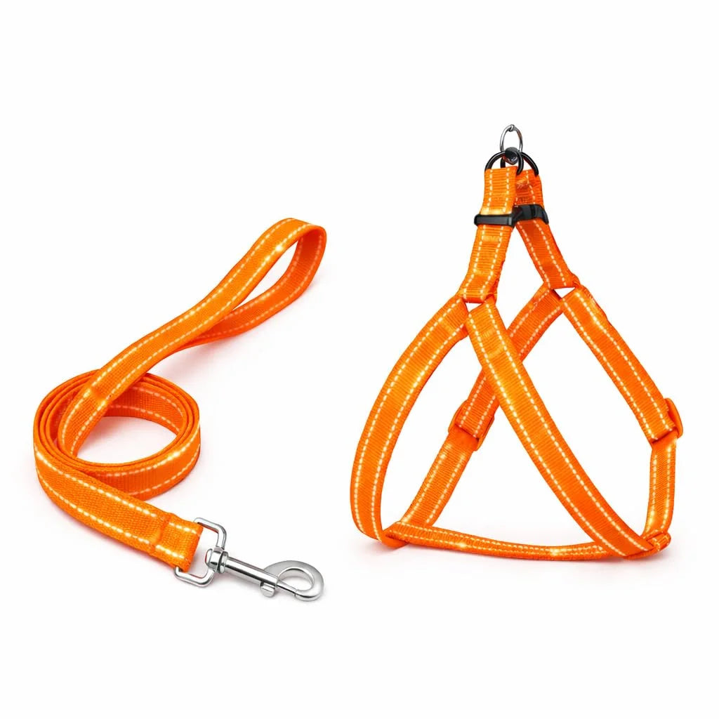 Pawington Reflective No Pull Dog Harness and Leash Set - Orange