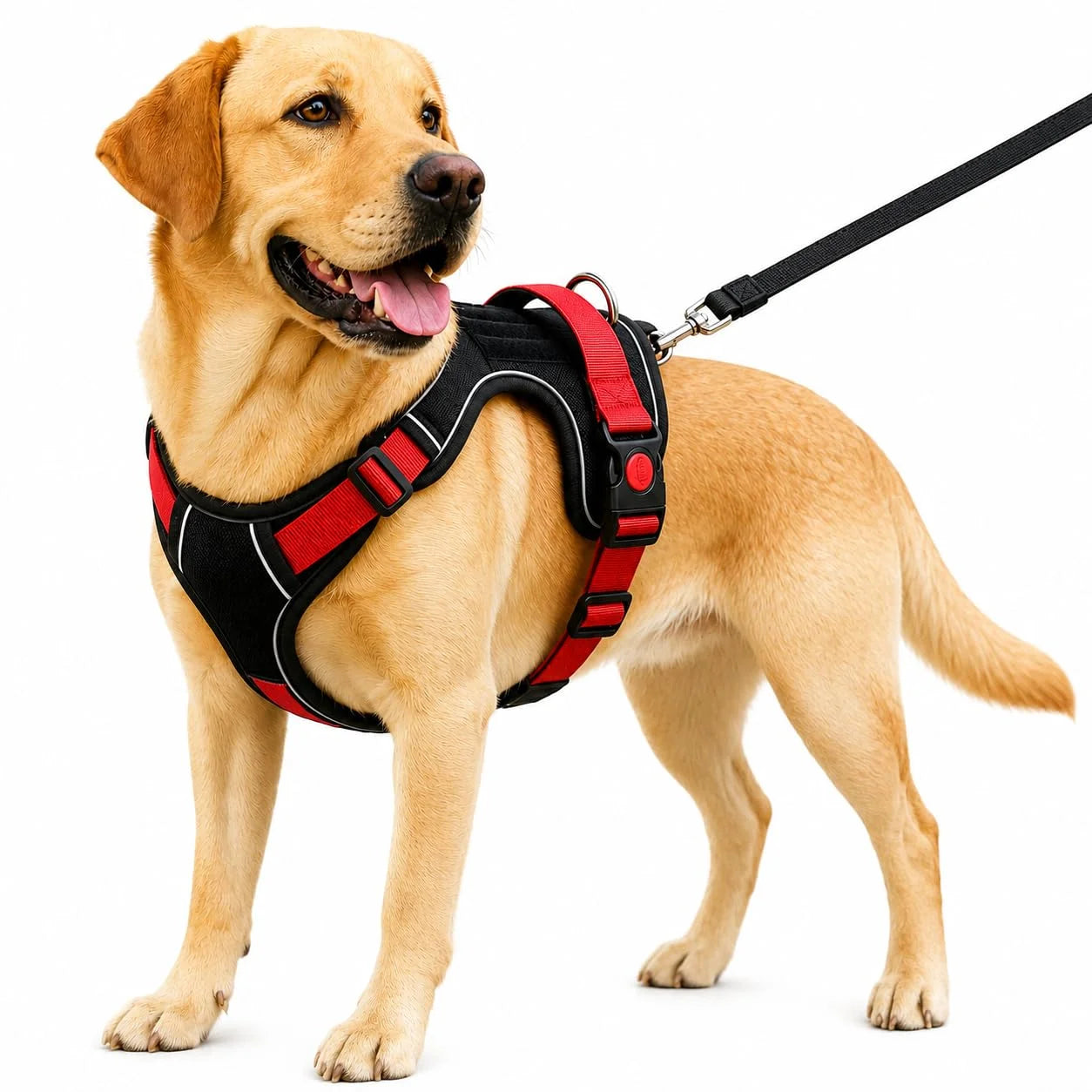 Pawington Reflective No Pull Dog Harness with Handle XL (22.5-45kg) - Black Red
