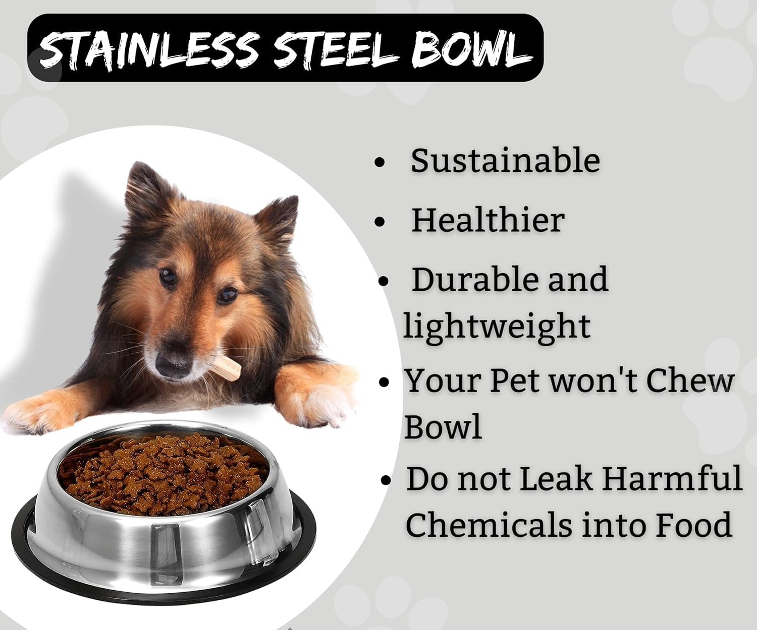 Pawington Stainless Steel Pet Feeding Bowl 200ml - Silver