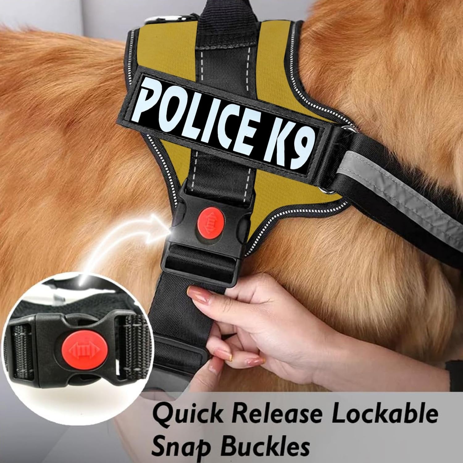Pawington Police K9 Dog Harness with Adjustable Leash (13-20Kg) - Golden