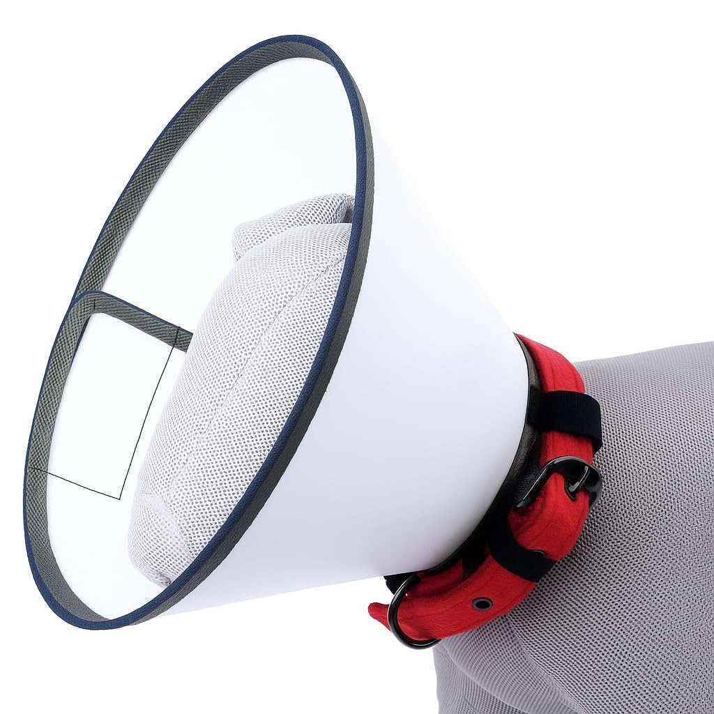 Pawington Soft Protective Pet Recovery Collar for Dogs & Cats - White