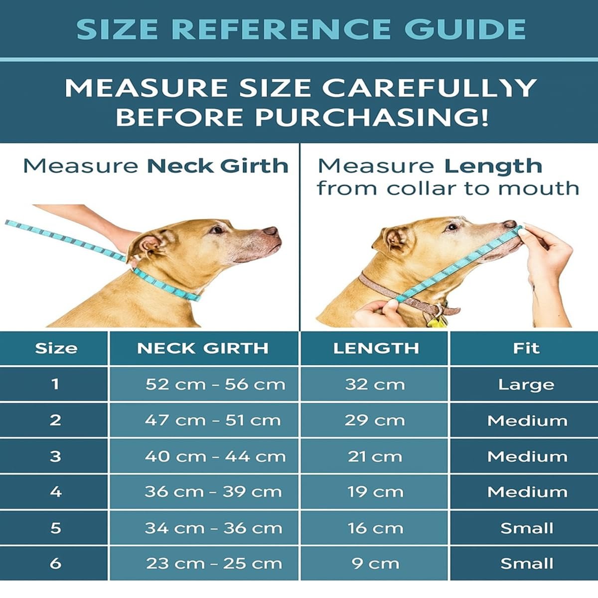 Pawington Soft Protective Pet Recovery Collar for Dogs & Cats - White