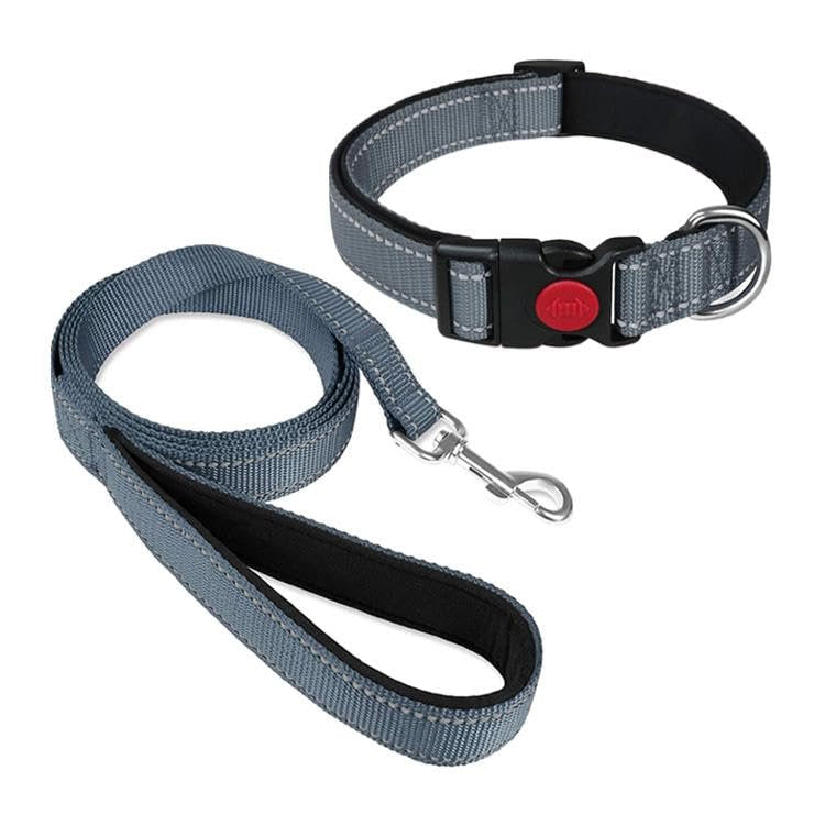 Pawington Reflective 1-Inch Dog Collar and Leash Set - Grey