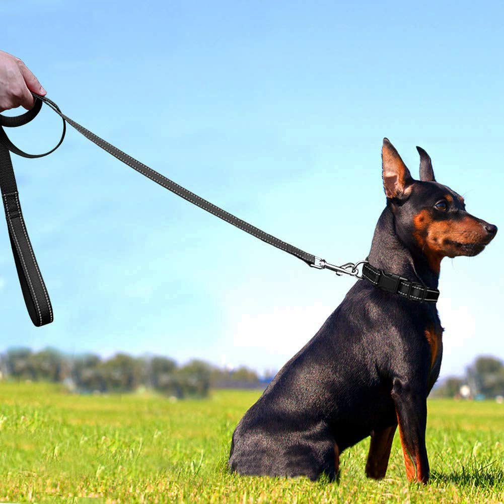 Pawington Reflective 1-Inch Dog Collar and Leash Set - Grey