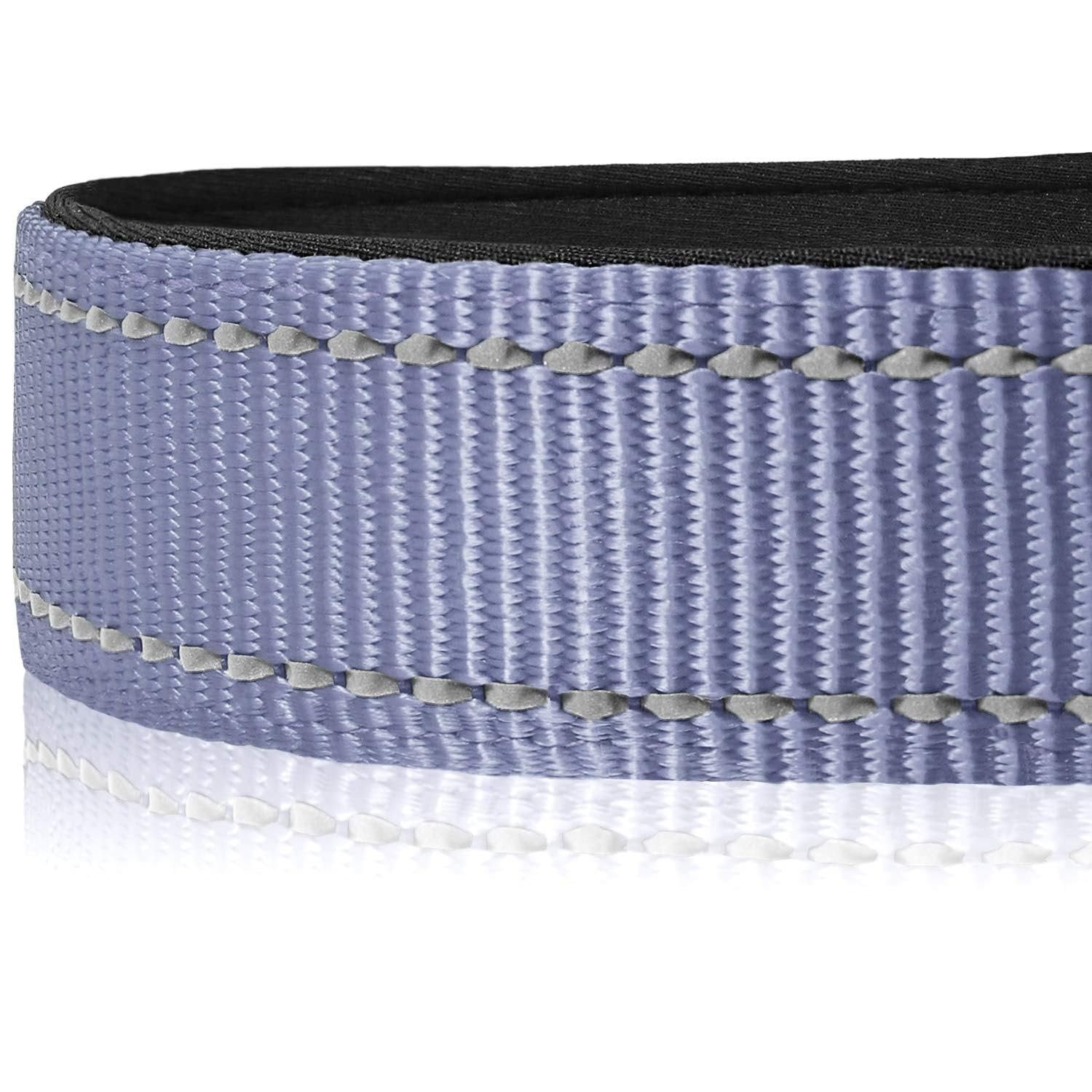 Pawington Reflective 1-Inch Dog Collar and Leash Set - Grey