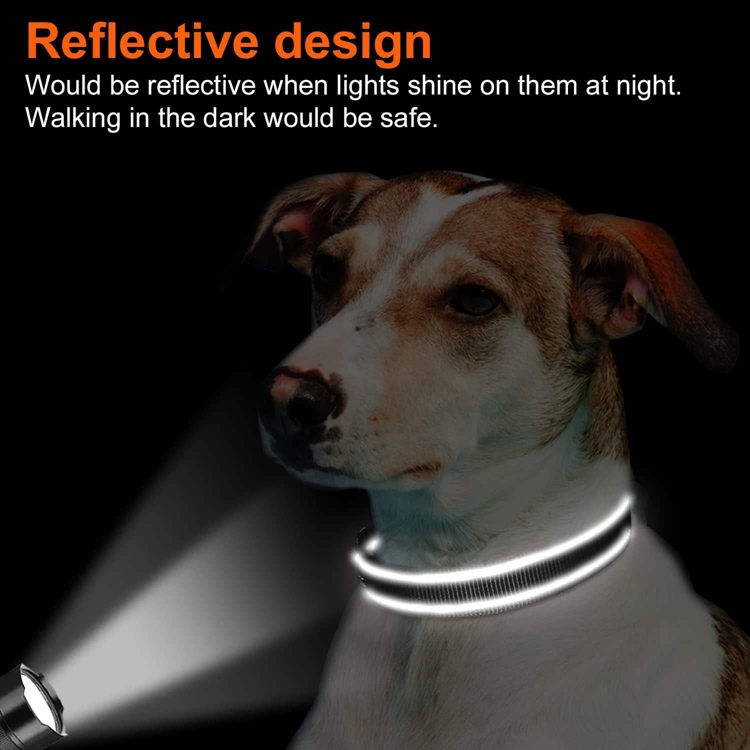 Pawington Reflective 1-Inch Dog Collar and Leash Set - Grey