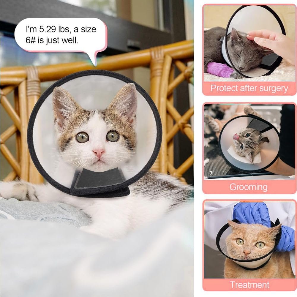 Pawington Adjustable Cat Recovery Cone Collar - White