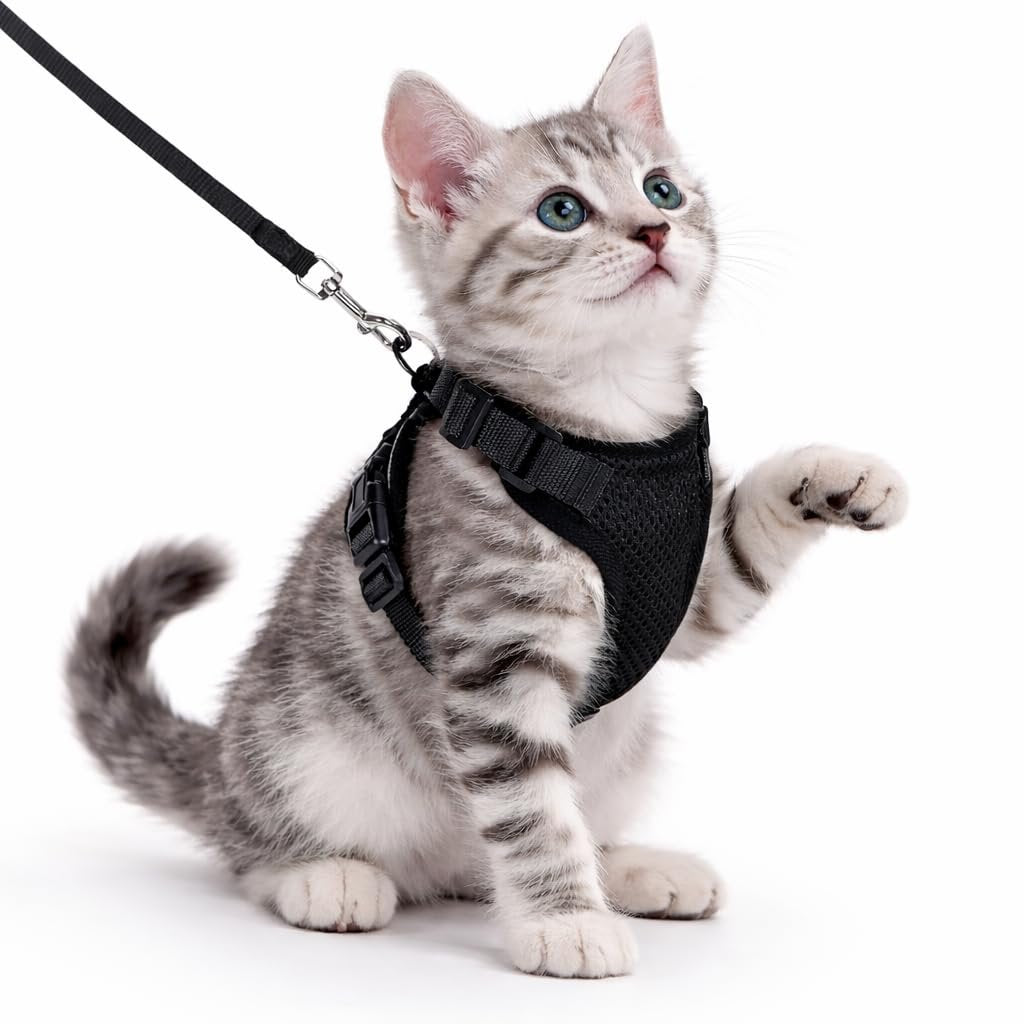 Pawington Adjustable Harness and Leash Set for Cats - Black
