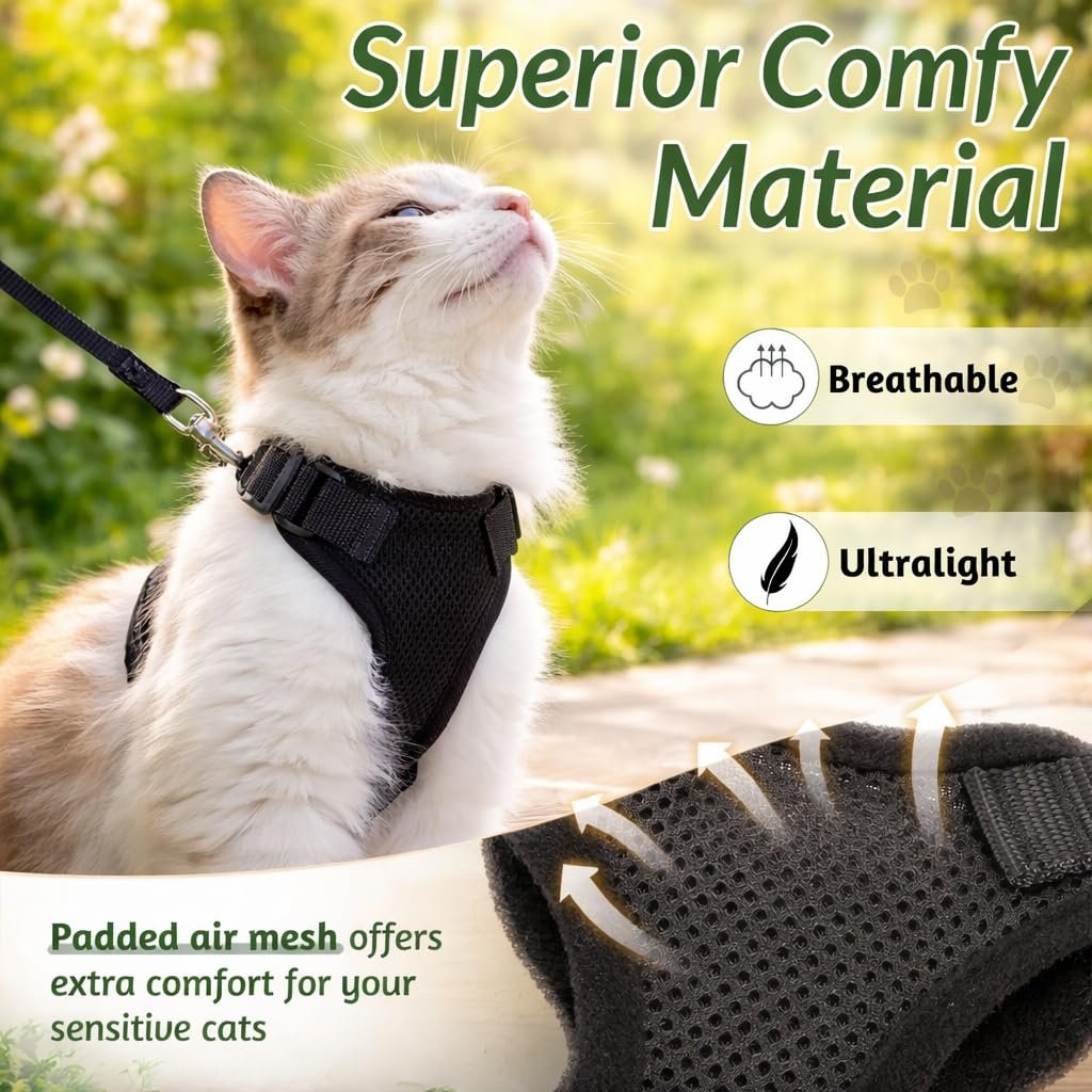 Pawington Adjustable Harness and Leash Set for Cats - Black