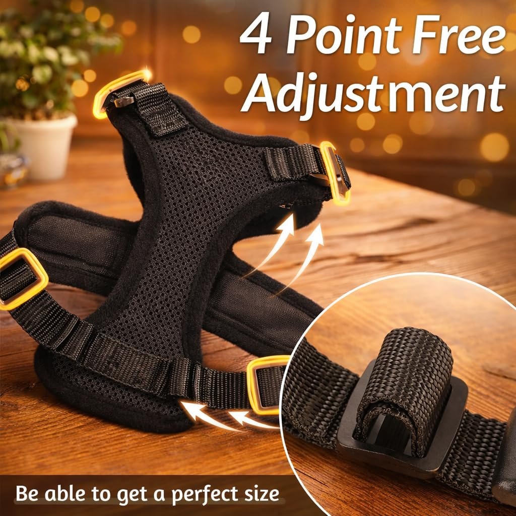 Pawington Adjustable Harness and Leash Set for Cats - Black