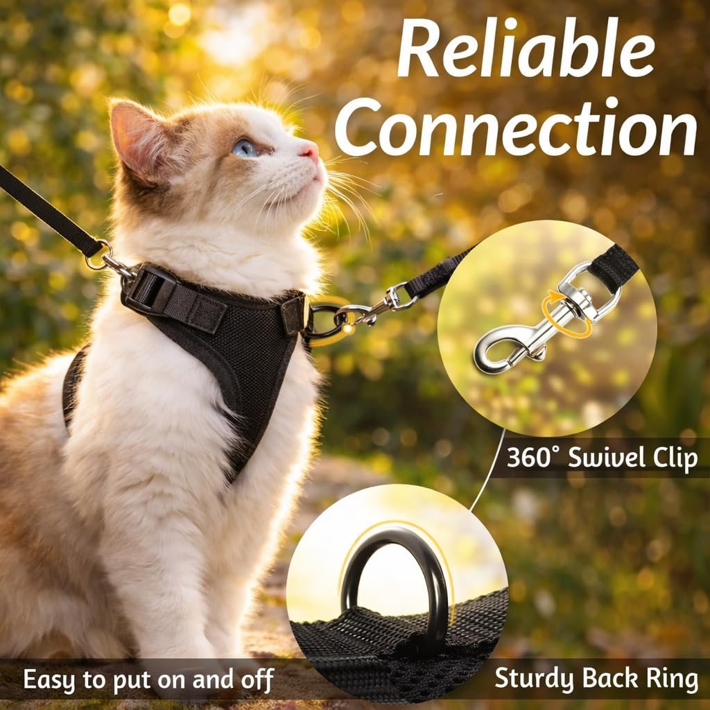 Pawington Adjustable Harness and Leash Set for Cats - Black
