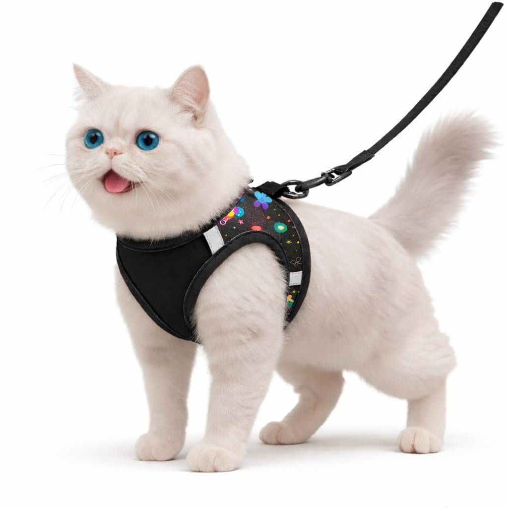 Pawington Durable & Comfortable Cat Leash with Harness - Black