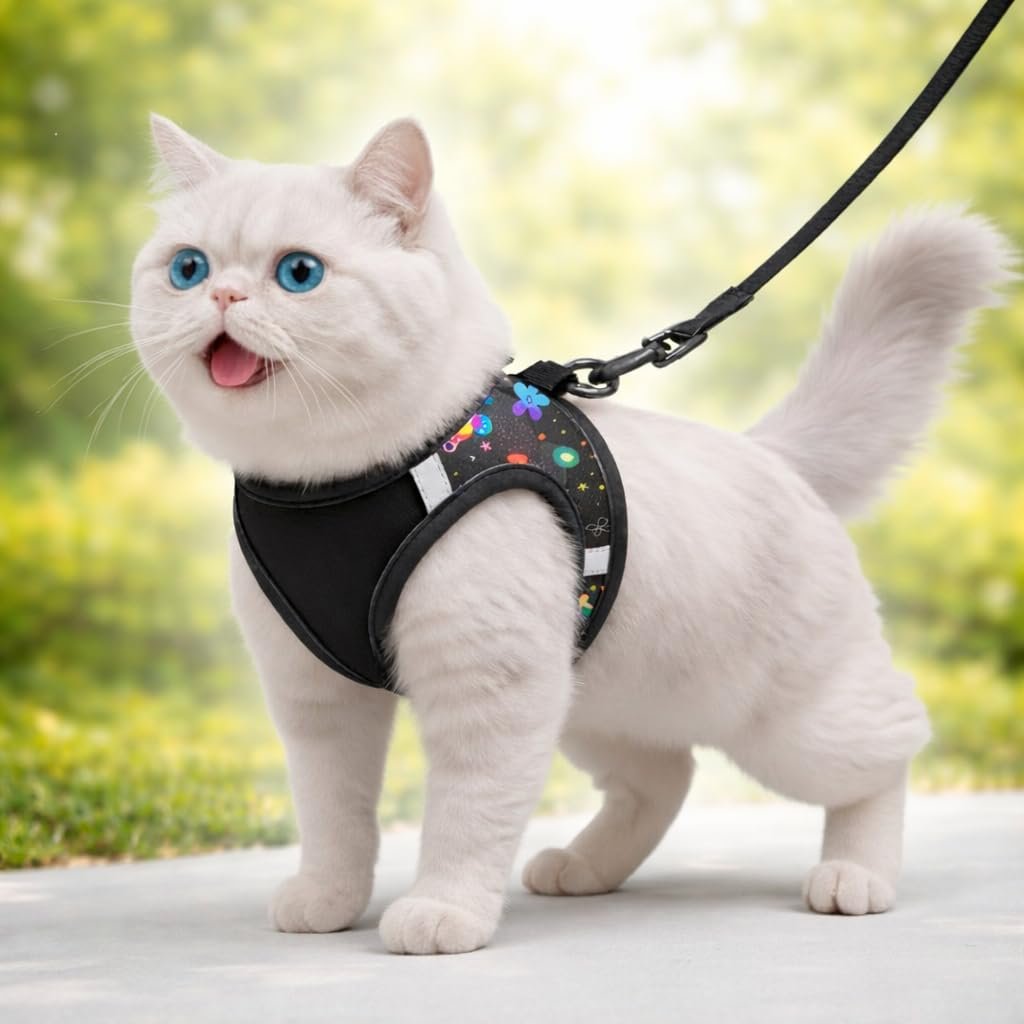 Pawington Durable & Comfortable Cat Leash with Harness - Black