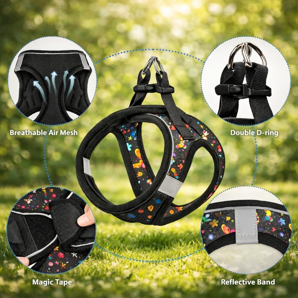 Pawington Durable & Comfortable Cat Leash with Harness - Black