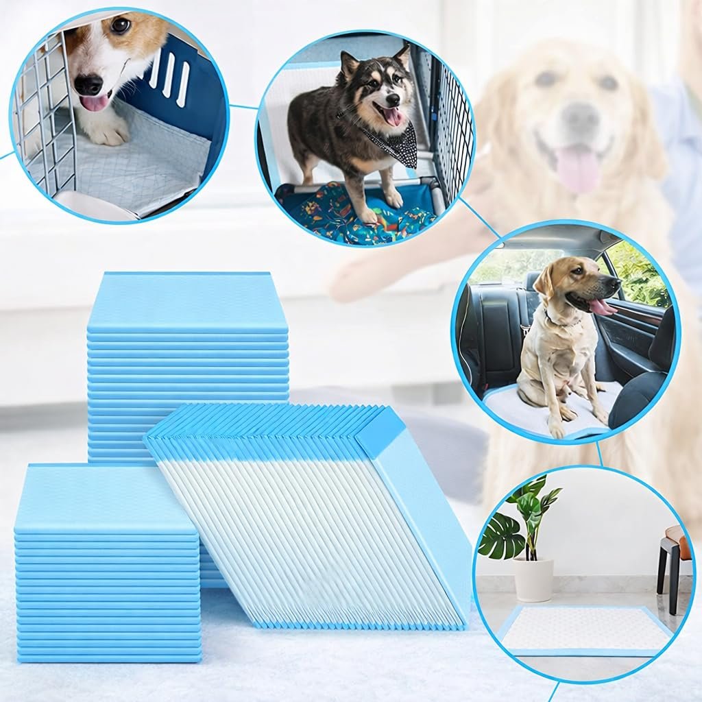 Pawington Dog Training Pads 60 x 45 cm (Pack of 10)