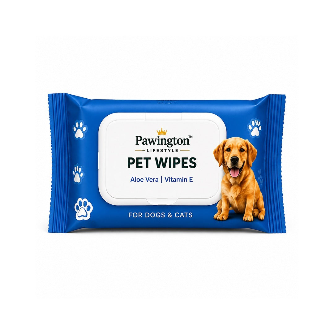 Pawington Travel Kit