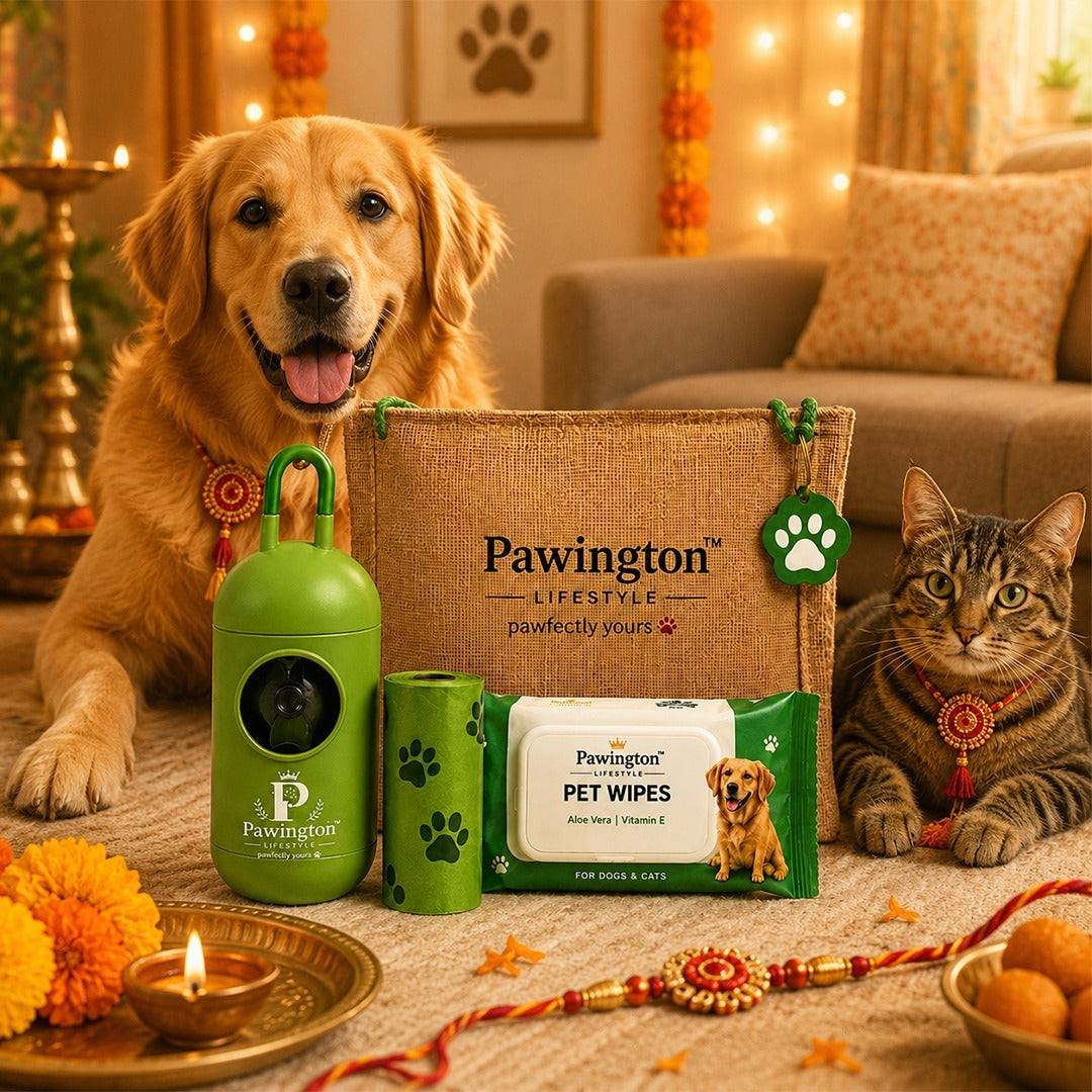 Pawington Sibling Kit