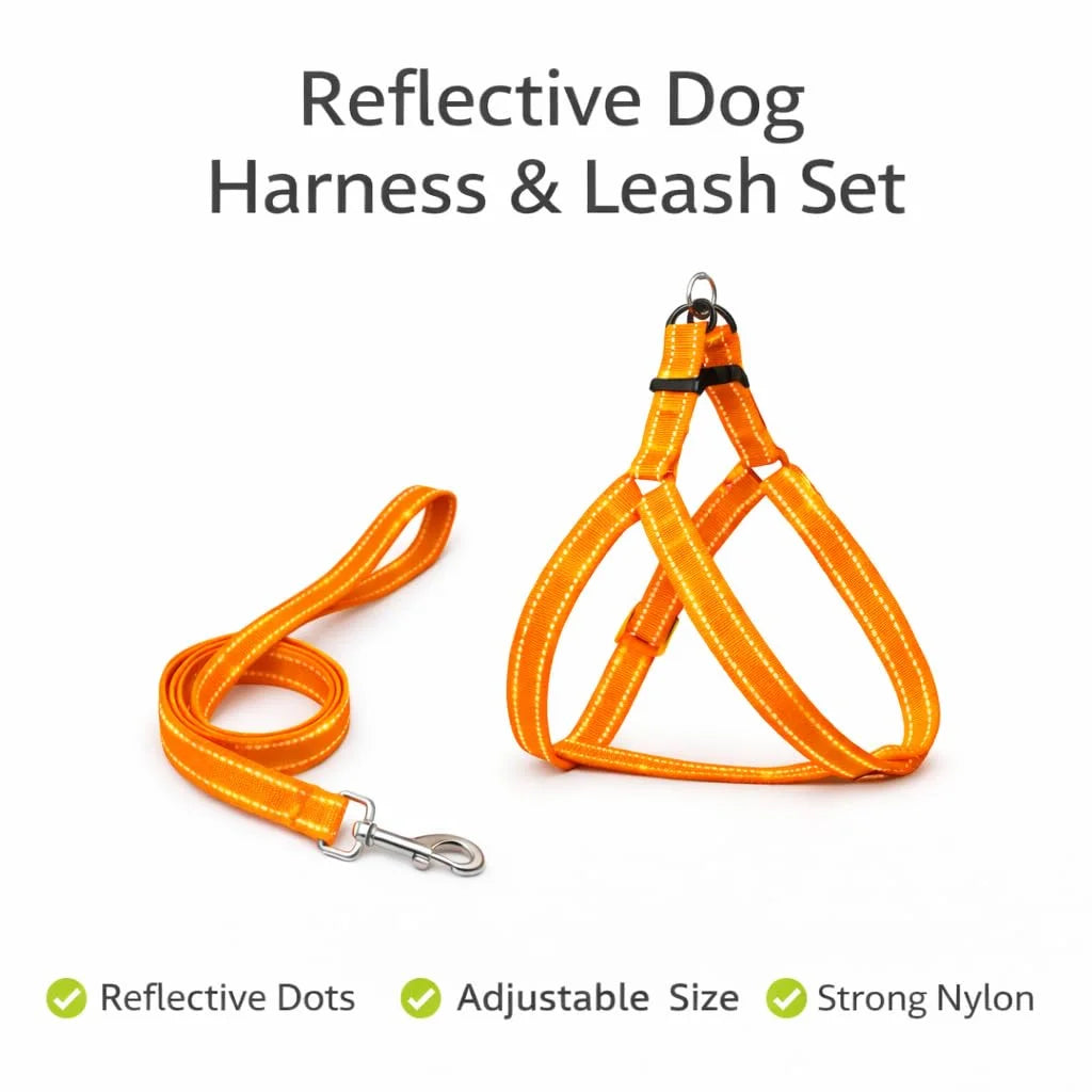 Pawington Reflective No Pull Dog Harness and Leash Set - Orange