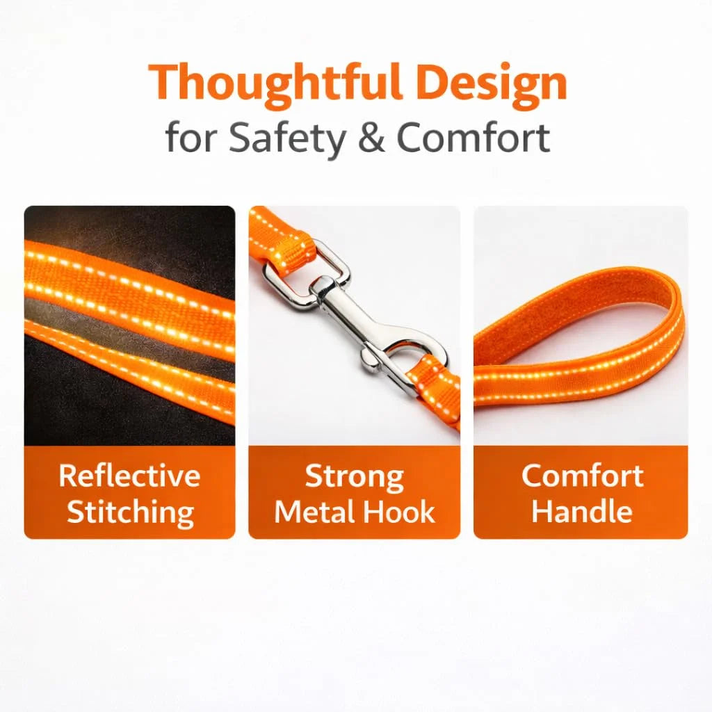 Pawington Reflective No Pull Dog Harness and Leash Set - Orange