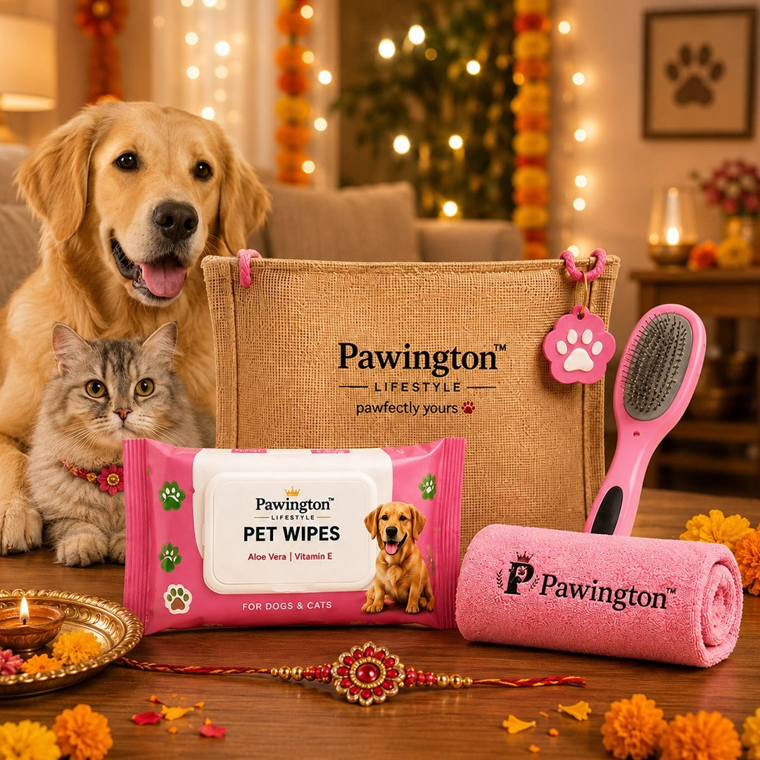 Pawington Care Kit