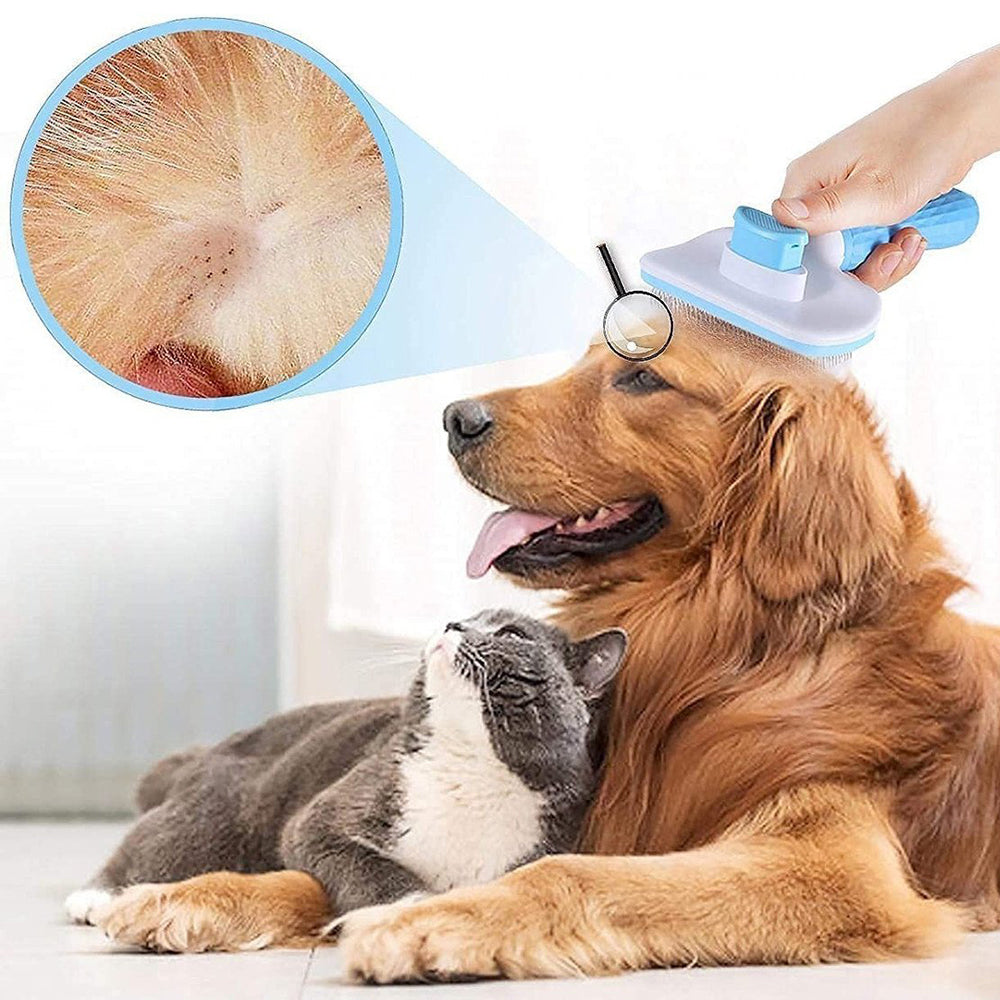 Pet Grooming Duo – Brush & Comb