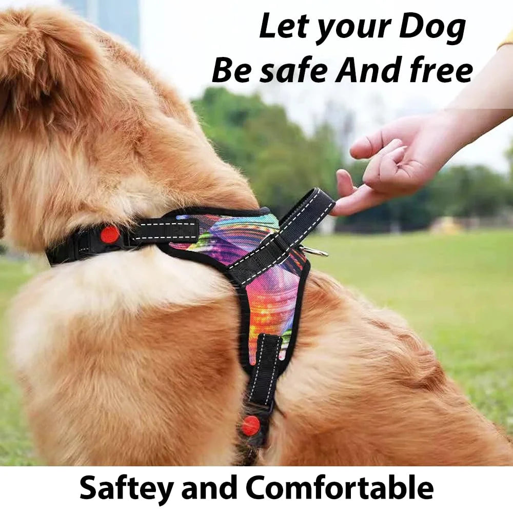 Pawington Butterfly Dog Harness & Leash Set with Free Plastic Bowl for Small Dogs - Multicolor