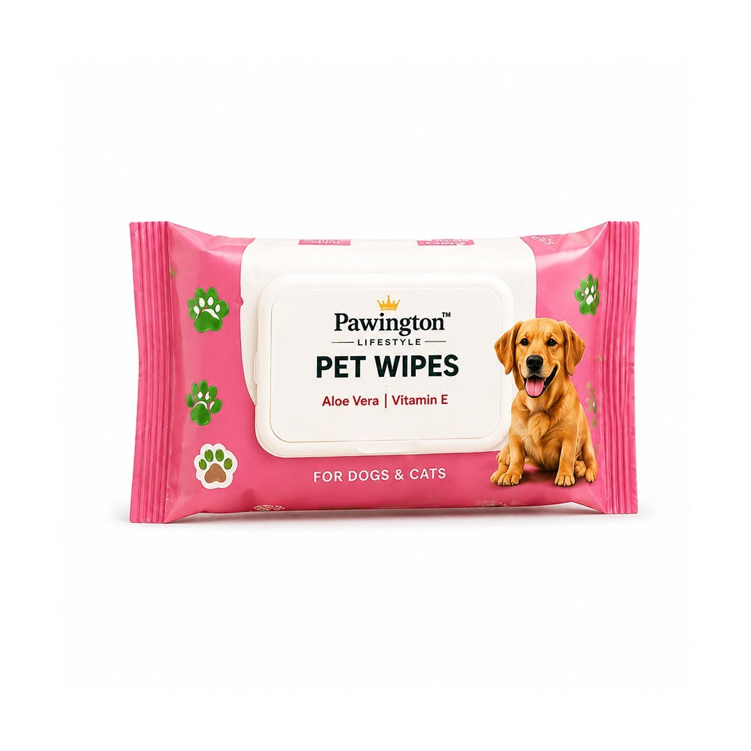 Pawington Care Kit