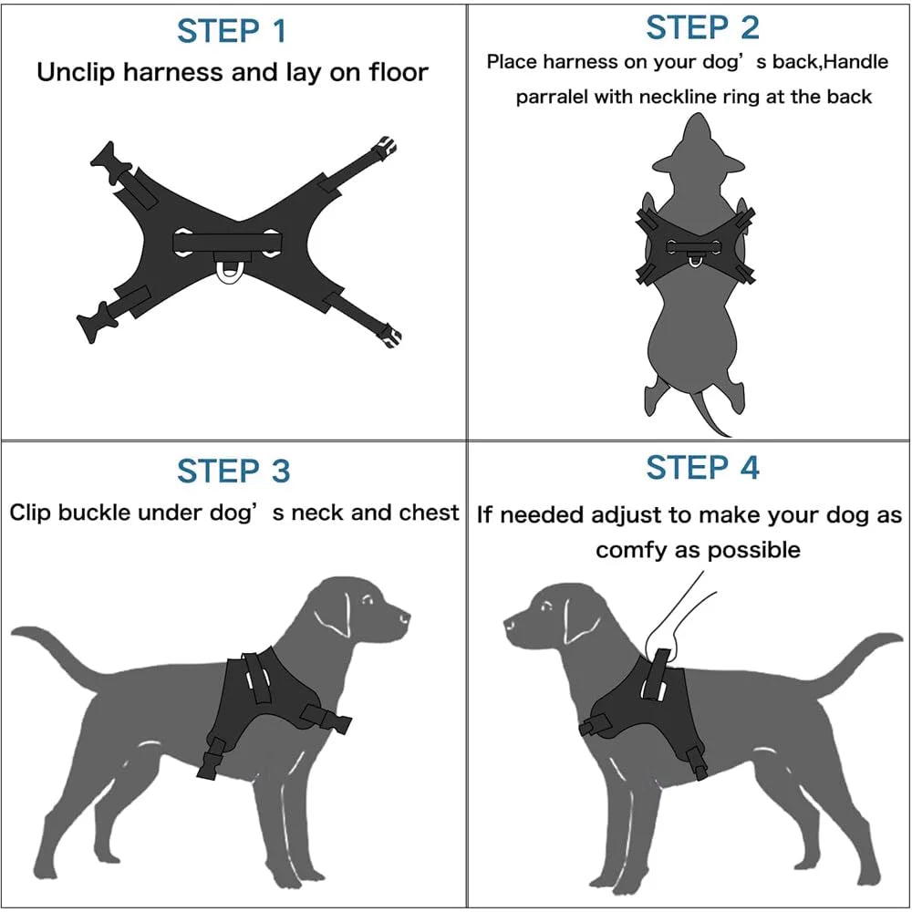 Pawington Butterfly Dog Harness & Leash Set with Free Plastic Bowl for Small Dogs - Multicolor